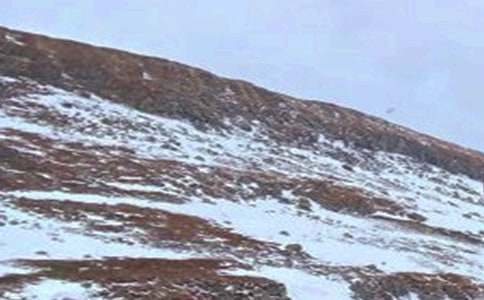 �L(ch��ng)��ɽ��ӛ����700��