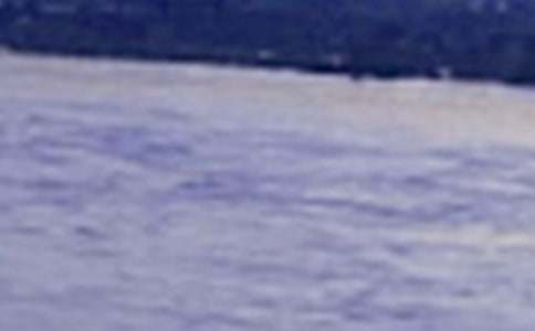 �����T(m��n)���L(ch��ng)������300��4ƪ