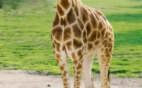 С�R���L(ch��ng)�i¹����