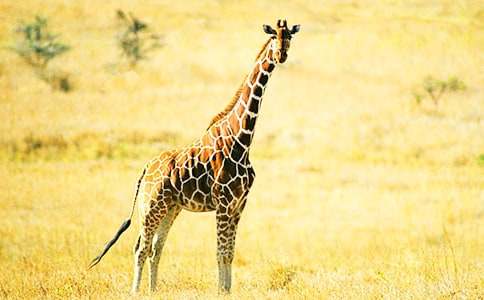 �L(ch��ng)�i¹�Ąe������400��