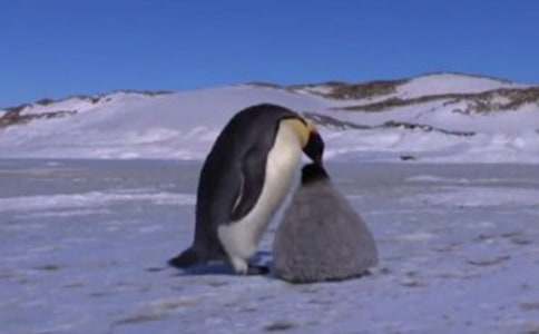 ��Խ�����Đ�(��i)���ģ�ͨ��31ƪ��