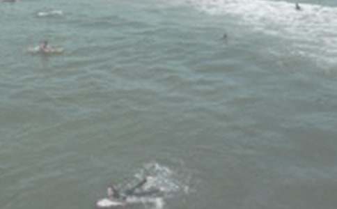 �P(gu��n)�ڛ_������600����ƪ