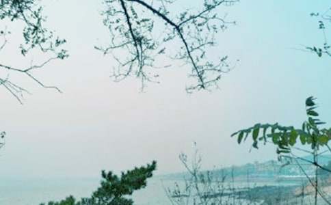 �茑(xi��)���L(f��ng)���~�Z(y��)��ȫ