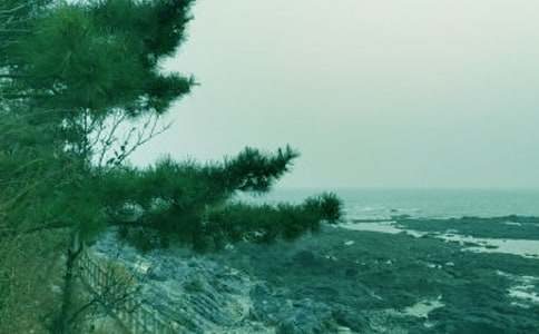 �茑(xi��)���L(f��ng)����������