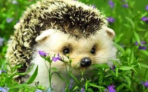 ��⬺͞���ِ������