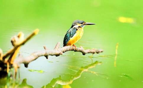 �����B(ni��o)���̰�