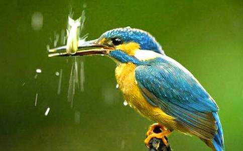 �����B(ni��o)���̌W(xu��)�c(di��n)�u