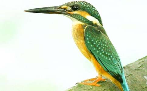 ���꼉�Z(y��)���ԡ����B(ni��o)���̌W(xu��)�OӋ