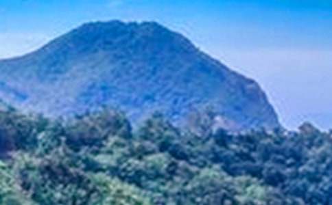 【熱門(mén)】大山作文500字三篇