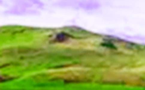 我心中的大山作文950字