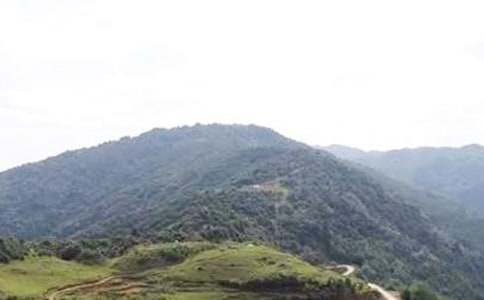 �茑(xi��)ѩ��Ĵ�ɽ���ģ����x15ƪ��