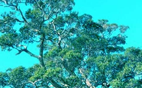 ��(y��u)��Ľ������������������(sh��)