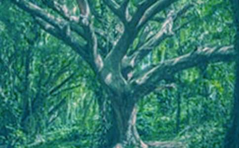 �������(sh��)�������ġ����x��