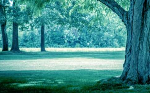 һ������Ĵ��(sh��)����