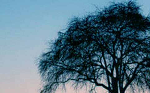 С���c���(sh��)�Č�Ԓ(hu��)�̰�����