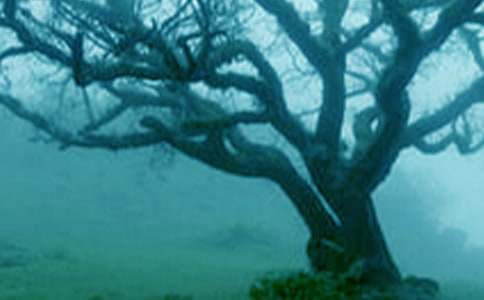 �а��Z(y��)�Դ��(sh��)�����̰������x10ƪ��