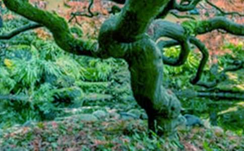 �������(sh��)��������600�֣����x21ƪ��