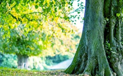 �������(sh��)���Ľ������顸���]��