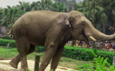 ������ͯԒ(hu��)����