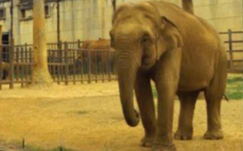 �����A������ͯԒ(hu��)������ƪ