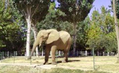 ������ʿՈ���֡���Ʒ�̰�