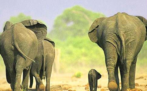  ������ʿՈ���֡��Ľ̰��OӋ