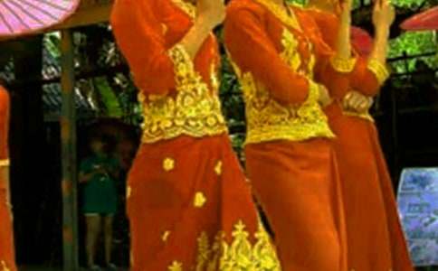 傣族的民風(fēng)民俗作文(通用16篇)