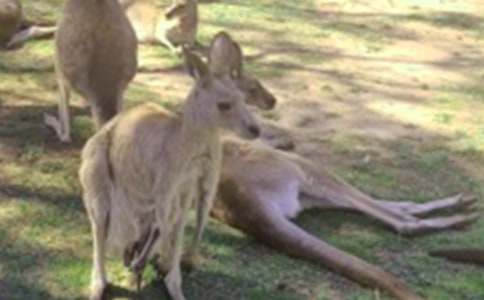 ��������600��10ƪ