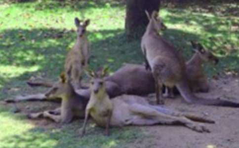 ��Bһ�N����������������