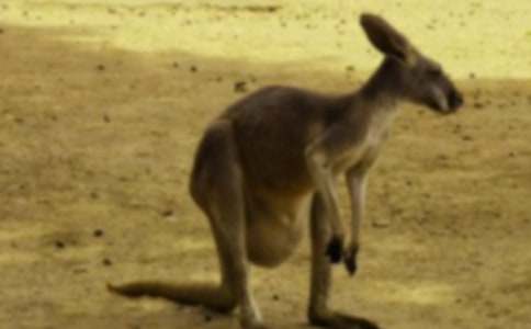 ��������600�ֺϼ�10ƪ