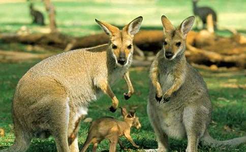 �茑(xi��)���������200�֣����x23ƪ��