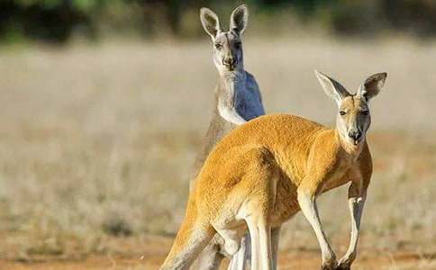 �P(gu��n)�ڴ�������300����ƪ