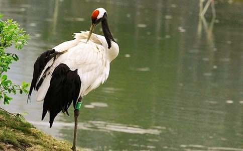 �����ĵ���Q�n�ă���