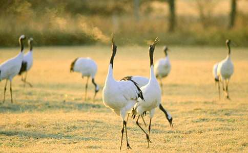 ����Q����600�֣����x25ƪ��