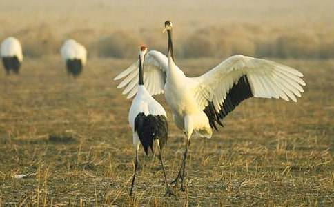 �����ĵ���QͯԒ(hu��)����