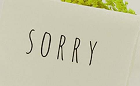 中學(xué)生原創(chuàng )作文:給自己一個(gè)道歉的機會(huì )