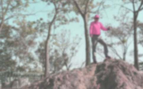 ��ɽ�ĸ������ģ�ͨ��23ƪ��