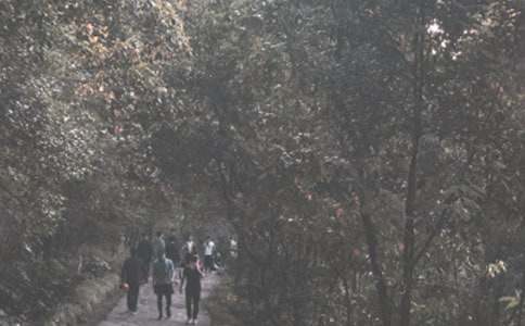 ��ɽ����600�֣����x31ƪ��