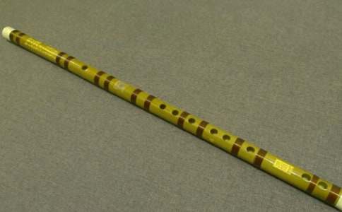 我喜歡的樂(lè )器笛子作文900字