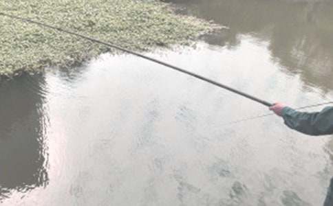 去釣魚(yú)作文范文