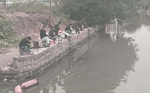 С��С؈��~(y��)�̰������x15ƪ��