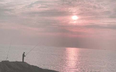 ��~(y��)--����