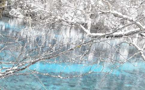 ���ֶ���ѩ���_(k��i)܇(ch��)����