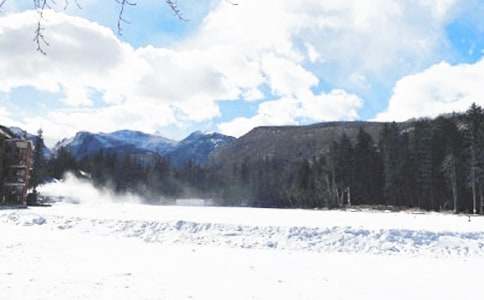 親睹冬季雪下凄痛記憶作文