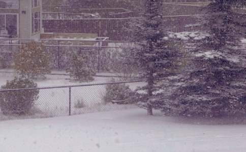 寫(xiě)冬日的陽(yáng)光作文