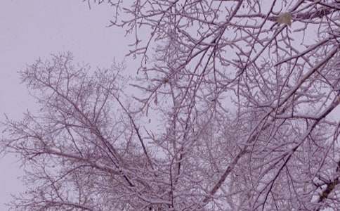 形容冬日暖陽(yáng)的詞語(yǔ)