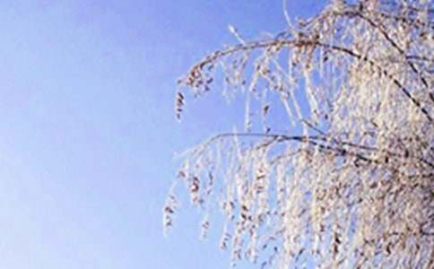 �茑(xi��)����ľ�ɫС�W(xu��)���꼉����33ƪ