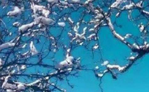 ���ݶ������õ��~�Z(y��)