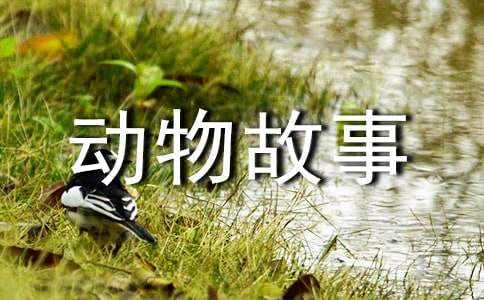 �������С��(d��ng)���������