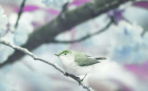 �^(gu��n)���(d��ng)ֲ������ģ�ͨ��24ƪ��